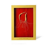 Changbai Mountain Ginseng